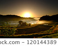 Rice terrace in the morning glow 120144389