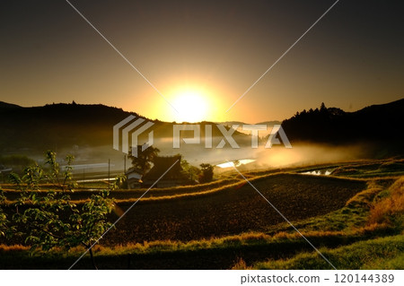 早晨的米飯露台發光 早晨的米飯露台發光 120144389