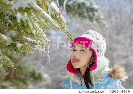女孩舔著掛在樹枝上的冰柱 120144439