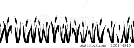 Seamless border with reed plant, line wetland cattail, lake grass, hand drawn silhouette Seamless border with reed plant, line wetland cattail, lake grass, hand drawn silhouette 120144810