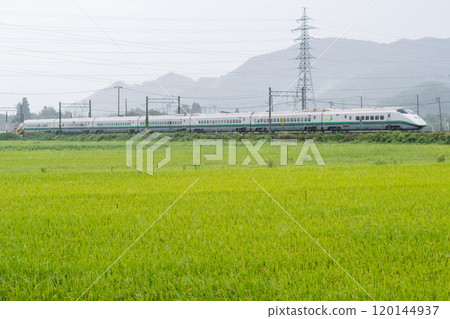 [Yamagata Line] Yamagata Shinkansen Tsubasa running through a rainy rural landscape 120144937