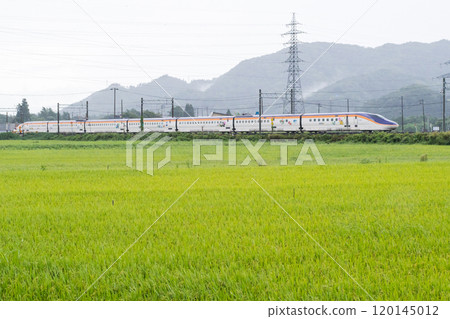 [Yamagata Line] Yamagata Shinkansen Tsubasa running through a rainy rural landscape 120145012