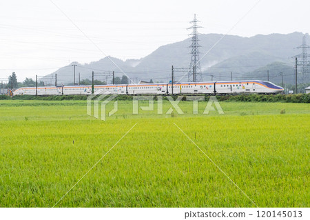 [Yamagata Line] Yamagata Shinkansen Tsubasa running through a rainy rural landscape 120145013