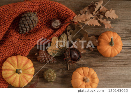 autumn background with pumpkins and fall leaves autumn background with pumpkins and fall leaves 120145033