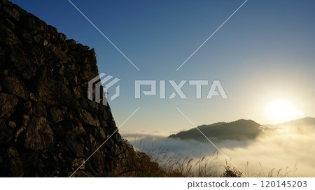Takeda Castle Sea of Clouds Sunrise 120145203