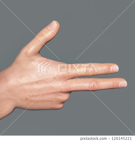 British, Australian and New Zealand Sign Language BANZSL sign number 8 120145221