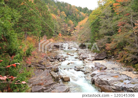 [Himemiya Shrine] [Himemiya Bridge] [Akazawa Natural Recreation Forest] 120145306