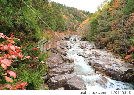 [姬宮神社] 姬宮橋 [赤澤自然休養林] 120145308