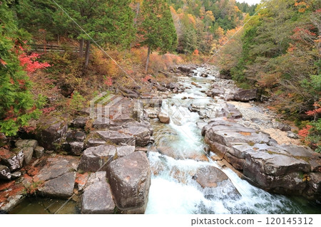 [姬宮神社] 姬宮橋 [赤澤自然休養林] 120145312