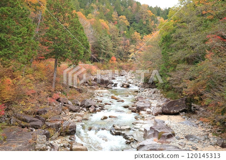 [姬宮神社] 姬宮橋 [赤澤自然休養林] 120145313