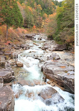 [姬宮神社] 姬宮橋 [赤澤自然休養林] 120145314