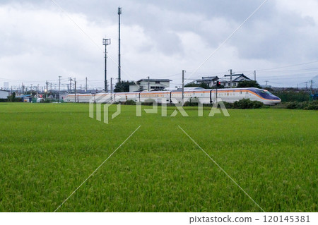 [Yamagata Line] Yamagata Shinkansen Tsubasa running through a rural landscape at dusk 120145381