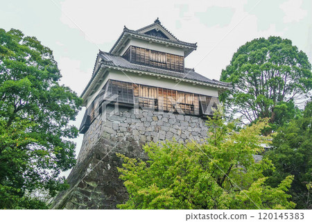 Kumamoto Castle surrounded by fresh greenery Kumamoto Castle surrounded by fresh greenery 120145383