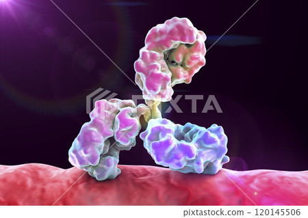 Antibody attacking bacterium Antibody attacking bacterium 120145506