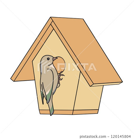 Wooden wildlife birdhouse and bird 120145804