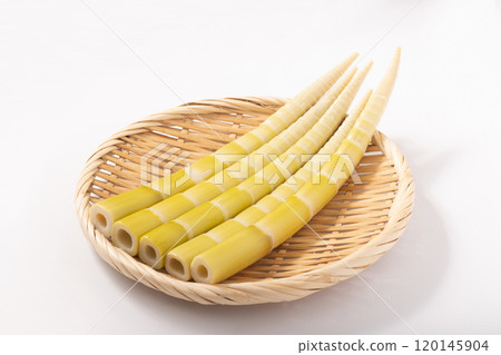 [Kochi Prefecture] Square Bamboo 120145904