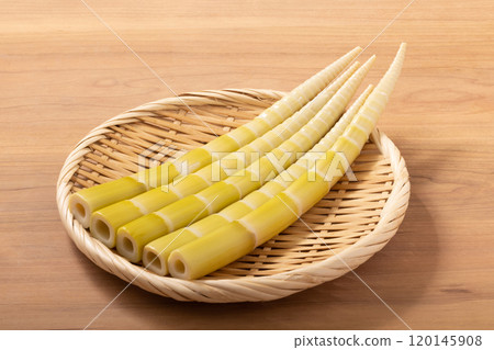 [Kochi Prefecture] Square Bamboo 120145908