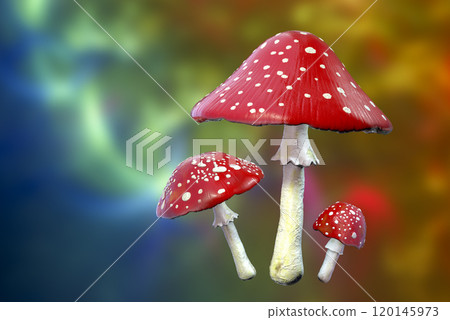 Fly agaric mushroom with red cap and white dots, Amanita mushroom, illustration 120145973