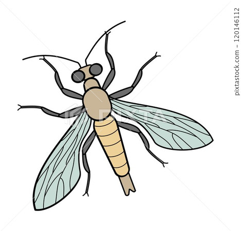 fir sawfly forest pest insect fir sawfly forest pest insect 120146112