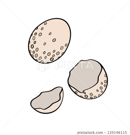 wild bird egg and shell of eggs wild bird egg and shell of eggs 120146115