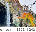 Waterfall surrounded by autumn leaves 120146242