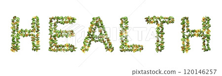 The word HEALTH made entirely of fresh green avocadoes, with their textured skins and smooth, creamy flesh, 3D illustration 120146257