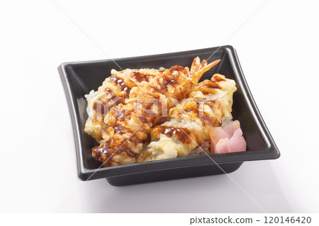 Mini Tendon Bento 120146420