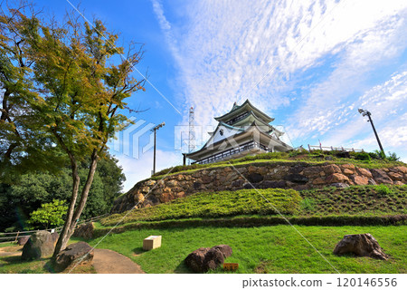 <Aichi Prefecture> Komakiyama Castle shining against the blue sky (Komakiyama History Museum) <Aichi Prefecture> Komakiyama Castle shining against the blue sky (Komakiyama History Museum) 120146556