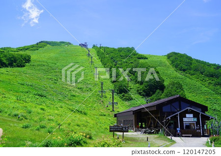 夏季白馬、八方尾根健行 18 120147205