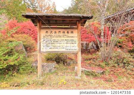 赤澤自然休養林“赤澤Seseragi no Sato餐廳” 赤澤自然休養林“赤澤Seseragi no Sato餐廳” 120147338