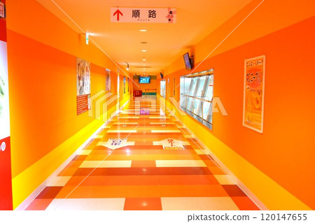 Konnyaku Park Factory Tour Konnyaku Gunma 120147655