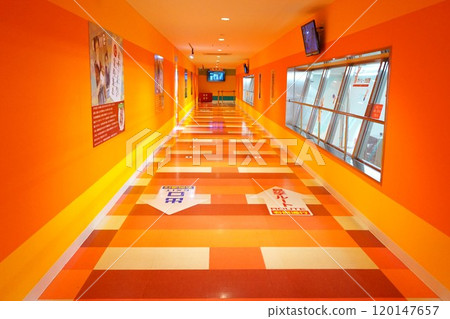 魔芋公園工廠參觀 魔芋群馬 120147657