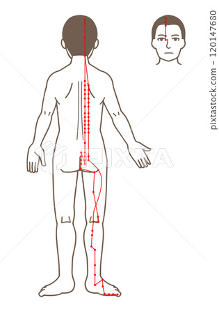 Acupuncture points, foot bladder meridian, acupressure points illustration 120147680