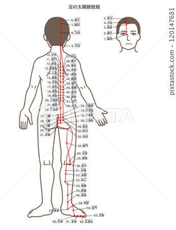 穴位、足太陽膀胱經、壓力點圖解 穴位、足太陽膀胱經、壓力點圖解 120147681