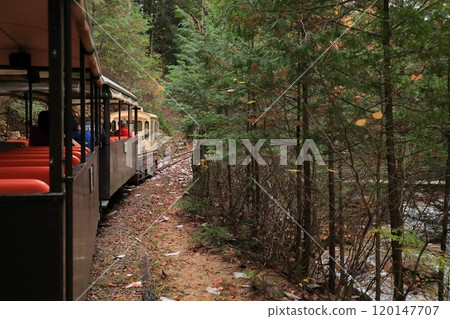 當電車行駛時，赤澤森林 120147707