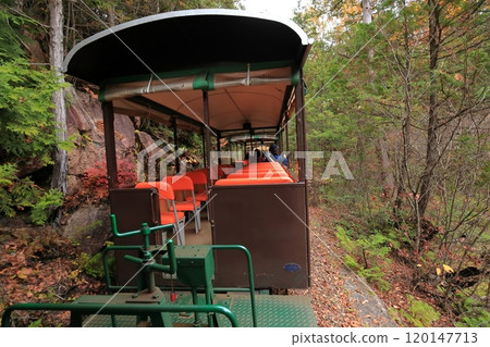 A trolley running in Akazawa Forest 120147713