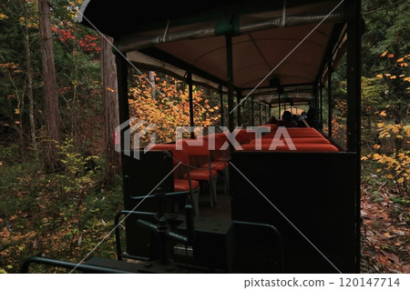A trolley running in Akazawa Forest 120147714