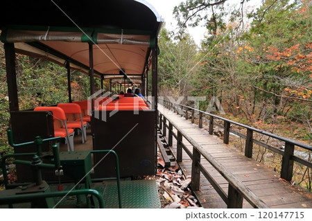 A trolley running in Akazawa Forest 120147715