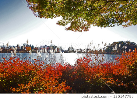 Lake Tateshina in autumn colors Lake Tateshina in autumn colors 120147793