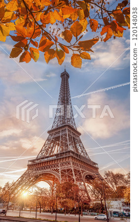 Eiffel Tower with autumn leaves in Paris, France 120148038