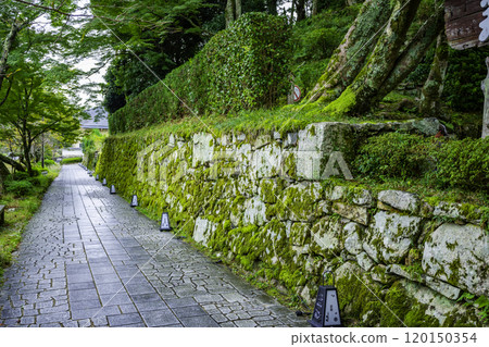 Sakamoto: Stone wall made with Anato-shu-zukuri lining, Otsu City, Shiga Prefecture 120150354