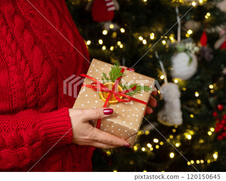Woman in red sweater with present in hands against Christmas tree lights, holidays atmosphere Woman in red sweater with present in hands against Christmas tree lights, holidays atmosphere 120150645