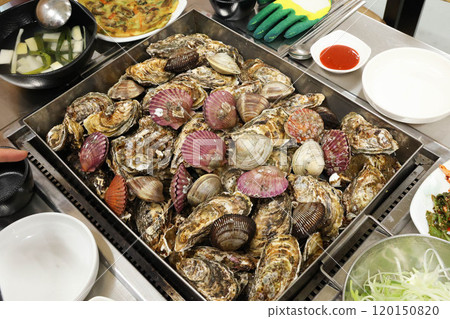 Korean Seafood Food. Steamed oysters and clams Korean Seafood Food. Steamed oysters and clams 120150820