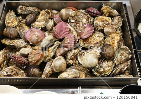 Korean Seafood Food. Steamed oysters and clams Korean Seafood Food. Steamed oysters and clams 120150841