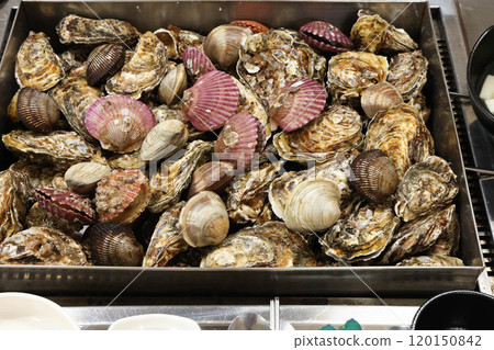 Korean Seafood Food. Steamed oysters and clams Korean Seafood Food. Steamed oysters and clams 120150842