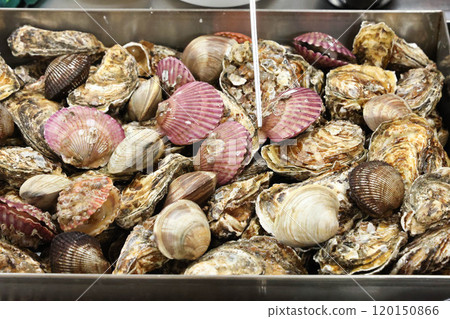 Korean Seafood Food. Steamed oysters and clams Korean Seafood Food. Steamed oysters and clams 120150866
