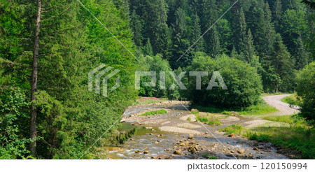Mountain river, coniferous forest - summer landscape. Mountain river, coniferous forest - summer landscape. 120150994