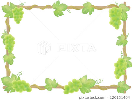 馬斯喀特車架 120151404