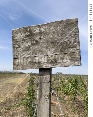 blank sign board over field and sky wiyh copy space blank sign board over field and sky wiyh copy space 120151531