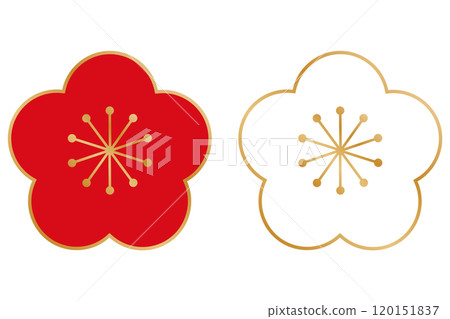 Plum blossoms red and white illustration Plum blossoms red and white illustration 120151837
